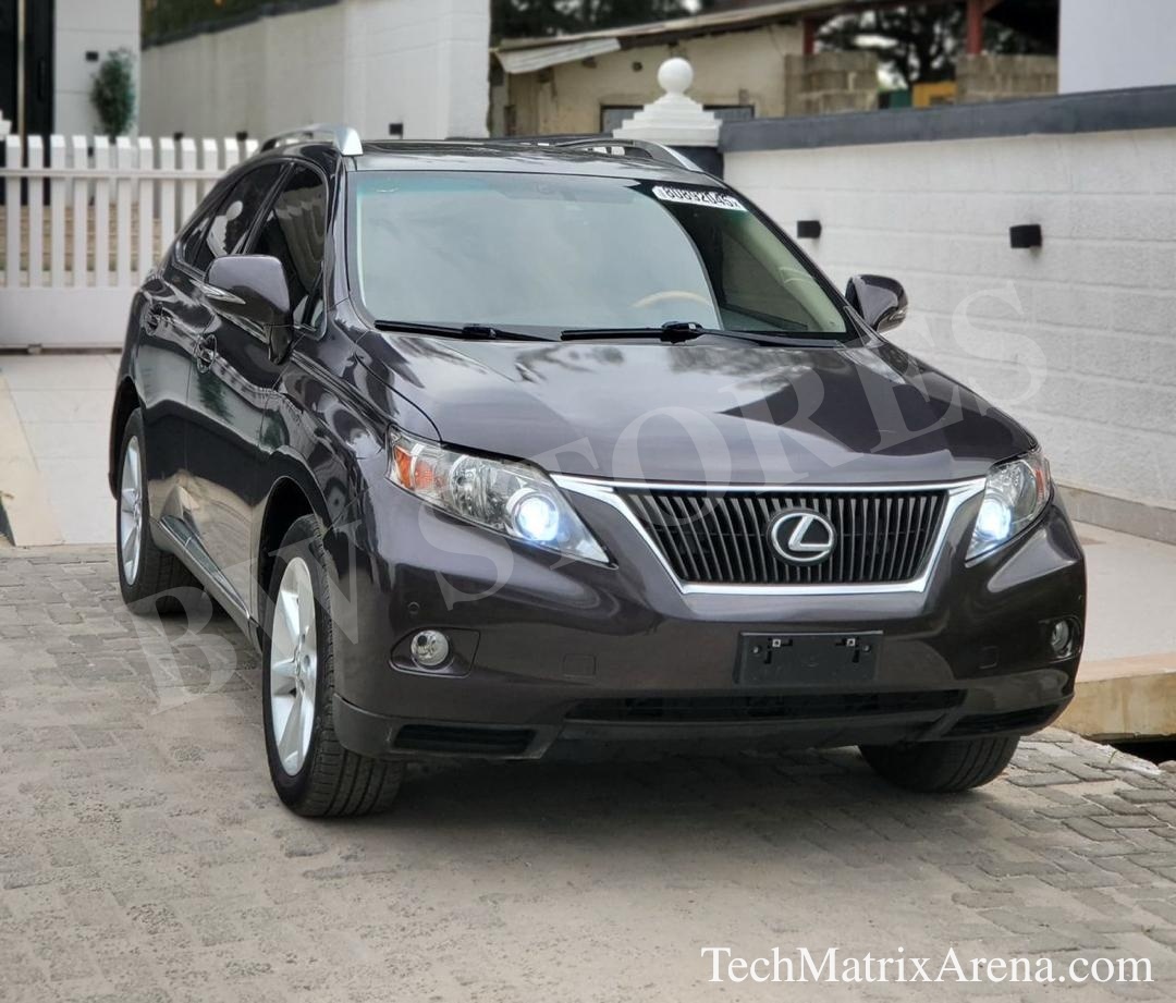 2010 LEXUS RX
